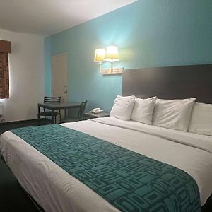 King Room Mobility accessible